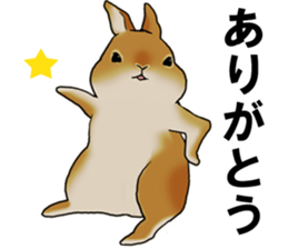 sassy and pretty rabbit sticker #8726266