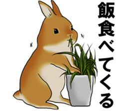 sassy and pretty rabbit sticker #8726270