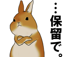 sassy and pretty rabbit sticker #8726271