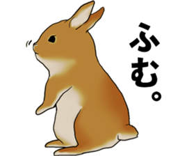 sassy and pretty rabbit sticker #8726273