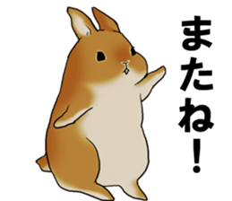 sassy and pretty rabbit sticker #8726276