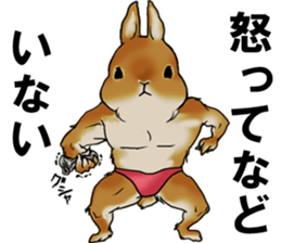 sassy and pretty rabbit sticker #8726279