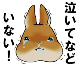 sassy and pretty rabbit sticker #8726280