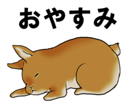 sassy and pretty rabbit sticker #8726283