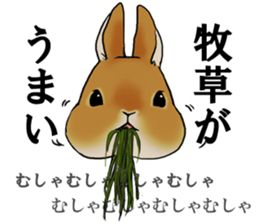 sassy and pretty rabbit sticker #8726286