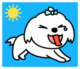 Always with Maltese sticker #8727090