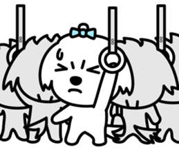 Always with Maltese sticker #8727094