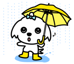 Always with Maltese sticker #8727114