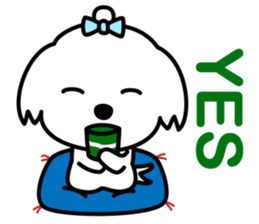 Always with Maltese sticker #8727124