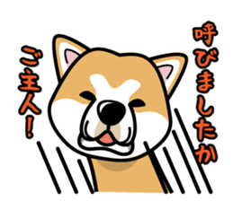 iinu - Akita sticker #8729730
