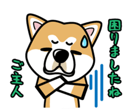 iinu - Akita sticker #8729732