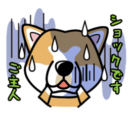 iinu - Akita sticker #8729735