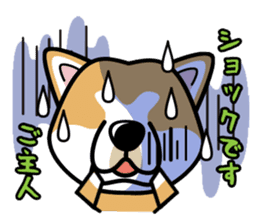 iinu - Akita sticker #8729735
