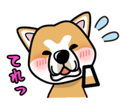 iinu - Akita sticker #8729739
