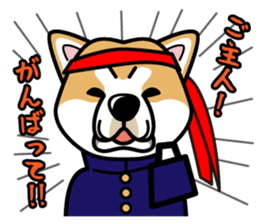 iinu - Akita sticker #8729745