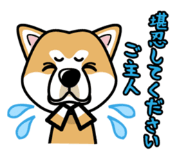 iinu - Akita sticker #8729748