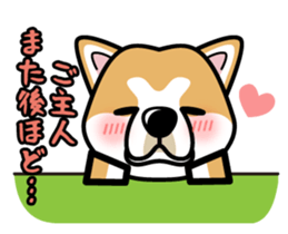 iinu - Akita sticker #8729763