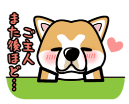 iinu - Akita sticker #8729763