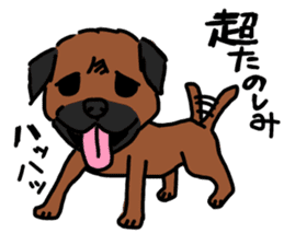 comical border terrier sticker #8731571