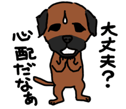 comical border terrier sticker #8731572
