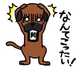 comical border terrier sticker #8731578