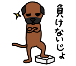 comical border terrier sticker #8731590