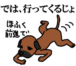 comical border terrier sticker #8731600