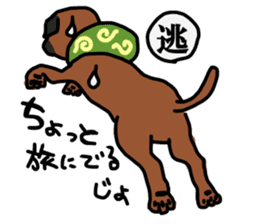 comical border terrier sticker #8731606