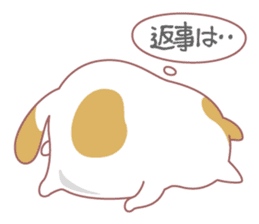 Fat cat DEBU sticker #8732556