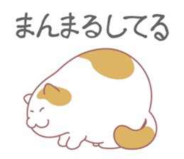 Fat cat DEBU sticker #8732560