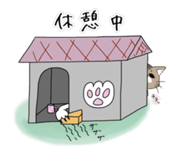 Master of Cat 2 sticker #8734416