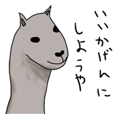 alaki