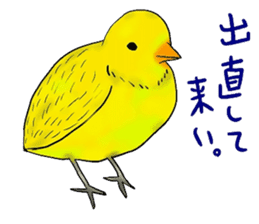 A variety of animals that come kidding sticker #8739812