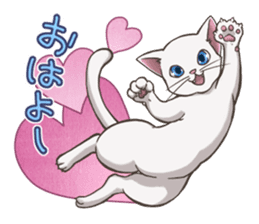 cat white cat sticker #8739850