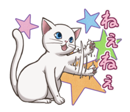 cat white cat sticker #8739851