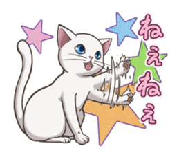 cat white cat sticker #8739851