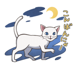 cat white cat sticker #8739854