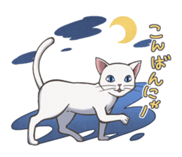 cat white cat sticker #8739854