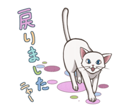 cat white cat sticker #8739857