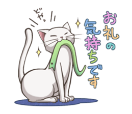 cat white cat sticker #8739858