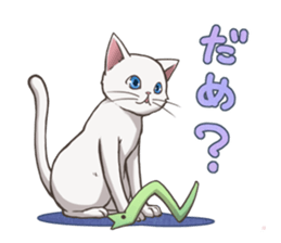 cat white cat sticker #8739859