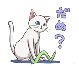 cat white cat sticker #8739859