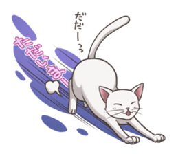 cat white cat sticker #8739861