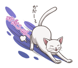 cat white cat sticker #8739861