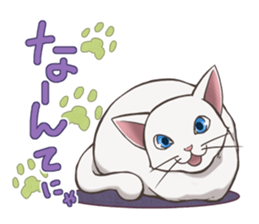 cat white cat sticker #8739868