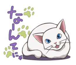 cat white cat sticker #8739868