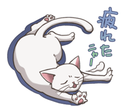 cat white cat sticker #8739871