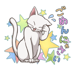cat white cat sticker #8739872