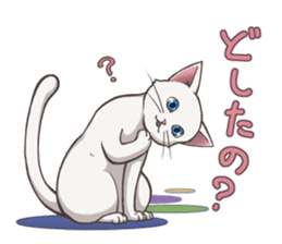 cat white cat sticker #8739874