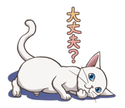 cat white cat sticker #8739875